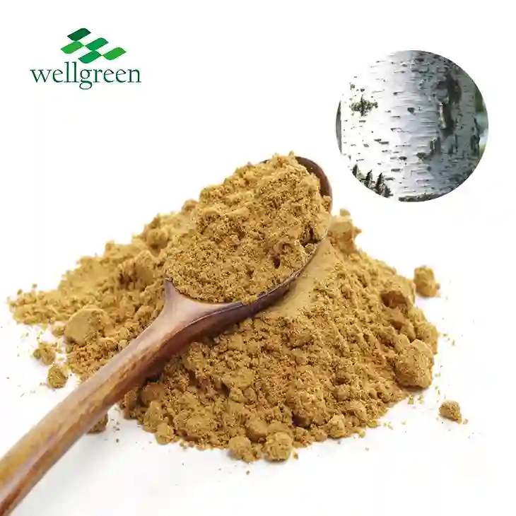 Betula Platyphylla Extract